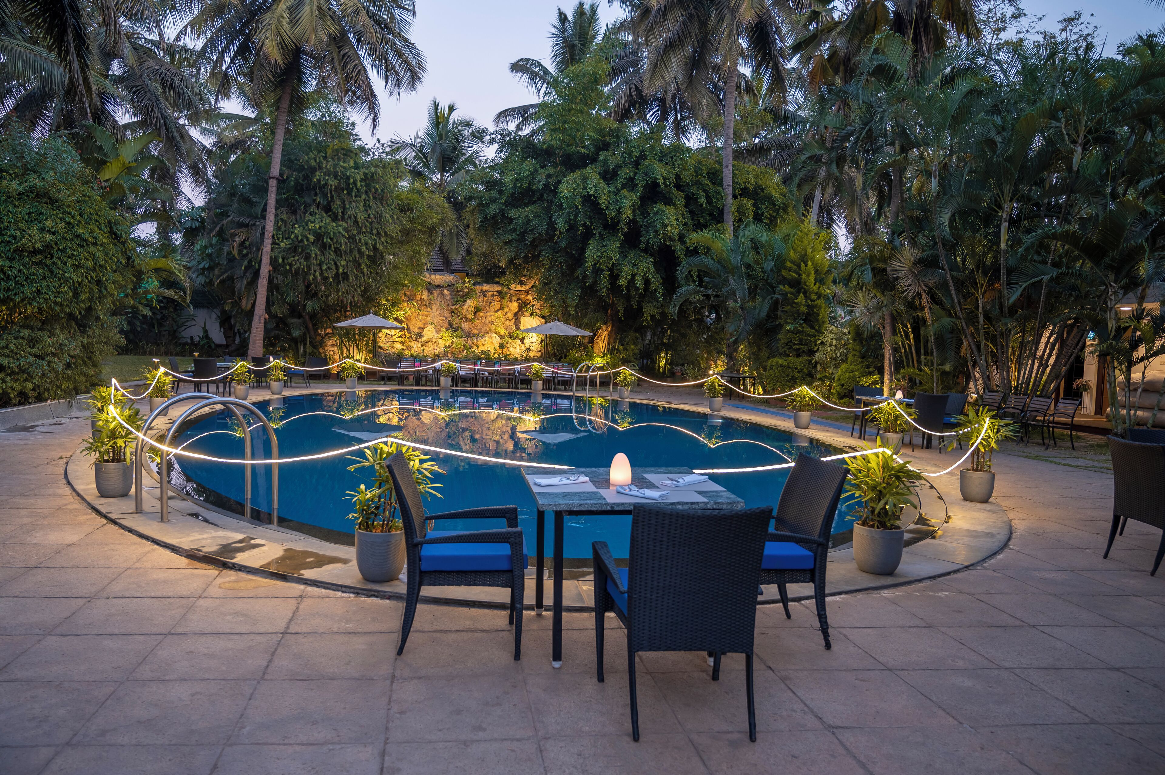 An outdoor pool area with seating and potted plants, surrounded by palm trees.