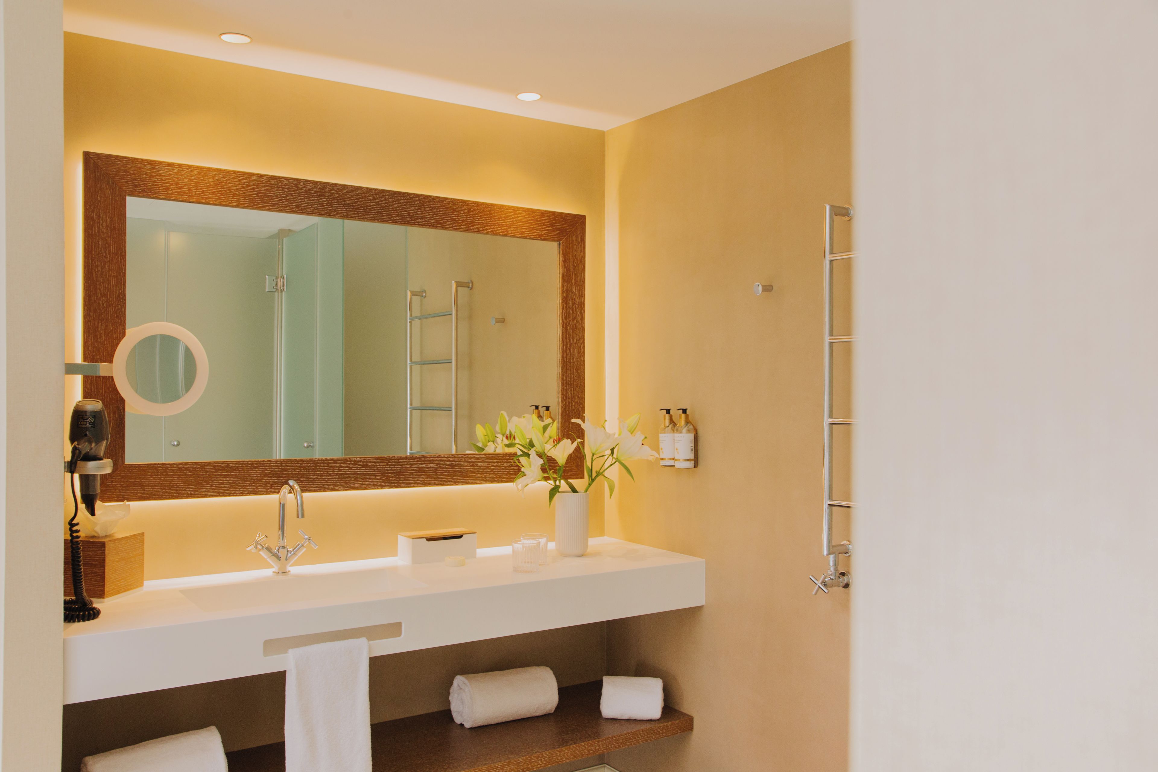 Une salle de bain avec un grand miroir, un lavabo, un porte-serviettes et une douche.
