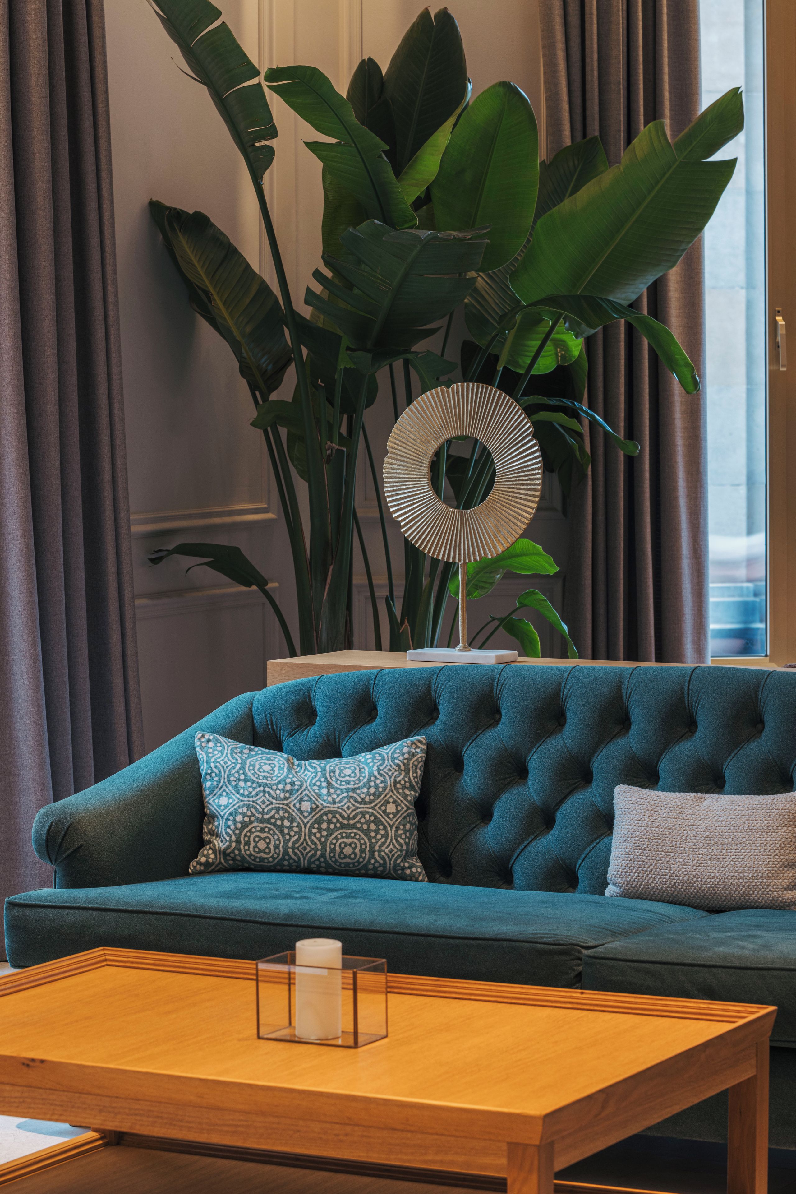 Un salon avec un canapé de couleur turquoise, des coussins à motifs, une table basse en bois et une grande plante en pot aux larges feuilles.
