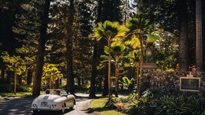 A classic convertible car parked on a tree-lined street, a stone wall with a plaque, and lush greenery.