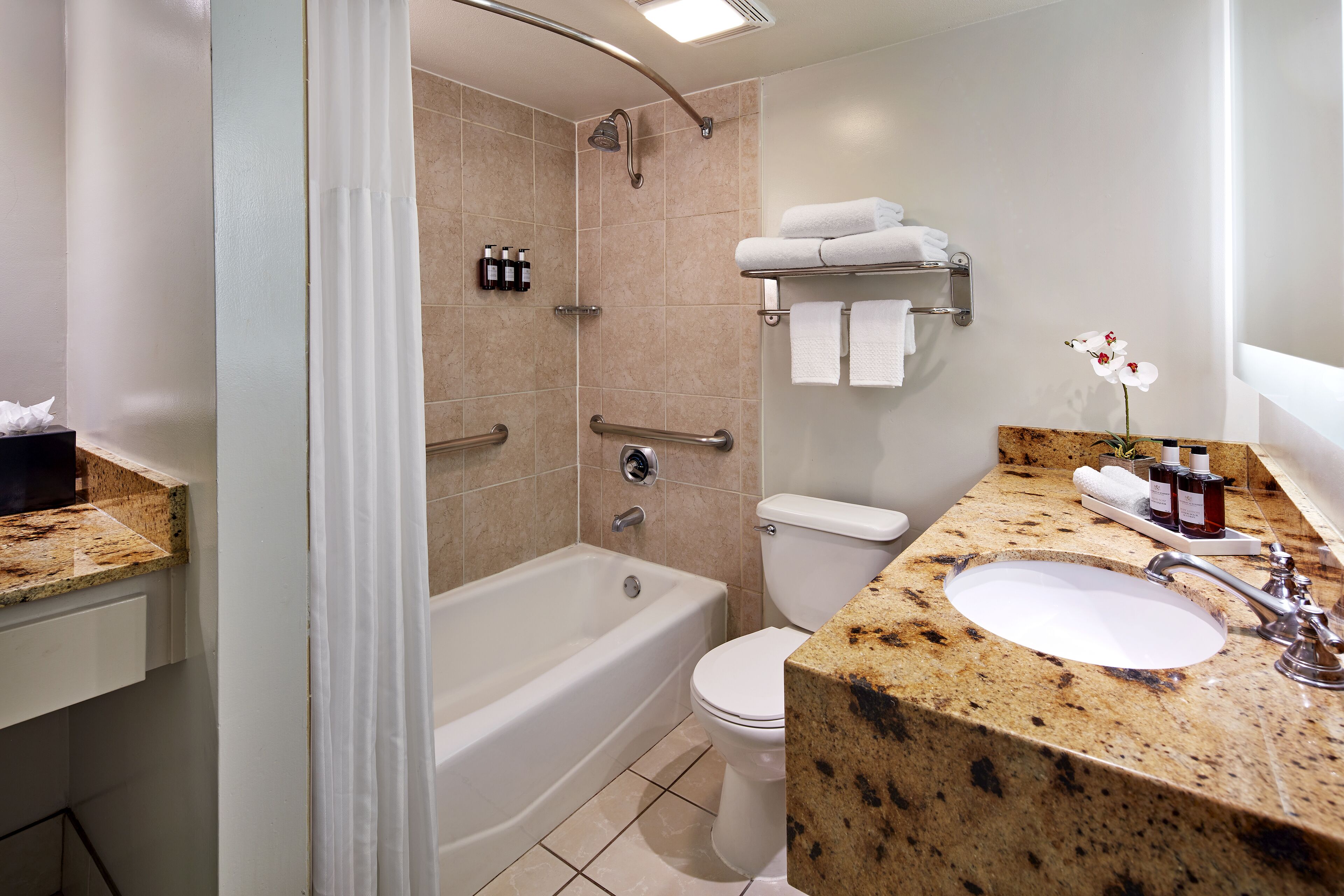 Foto - Carlyle Inn