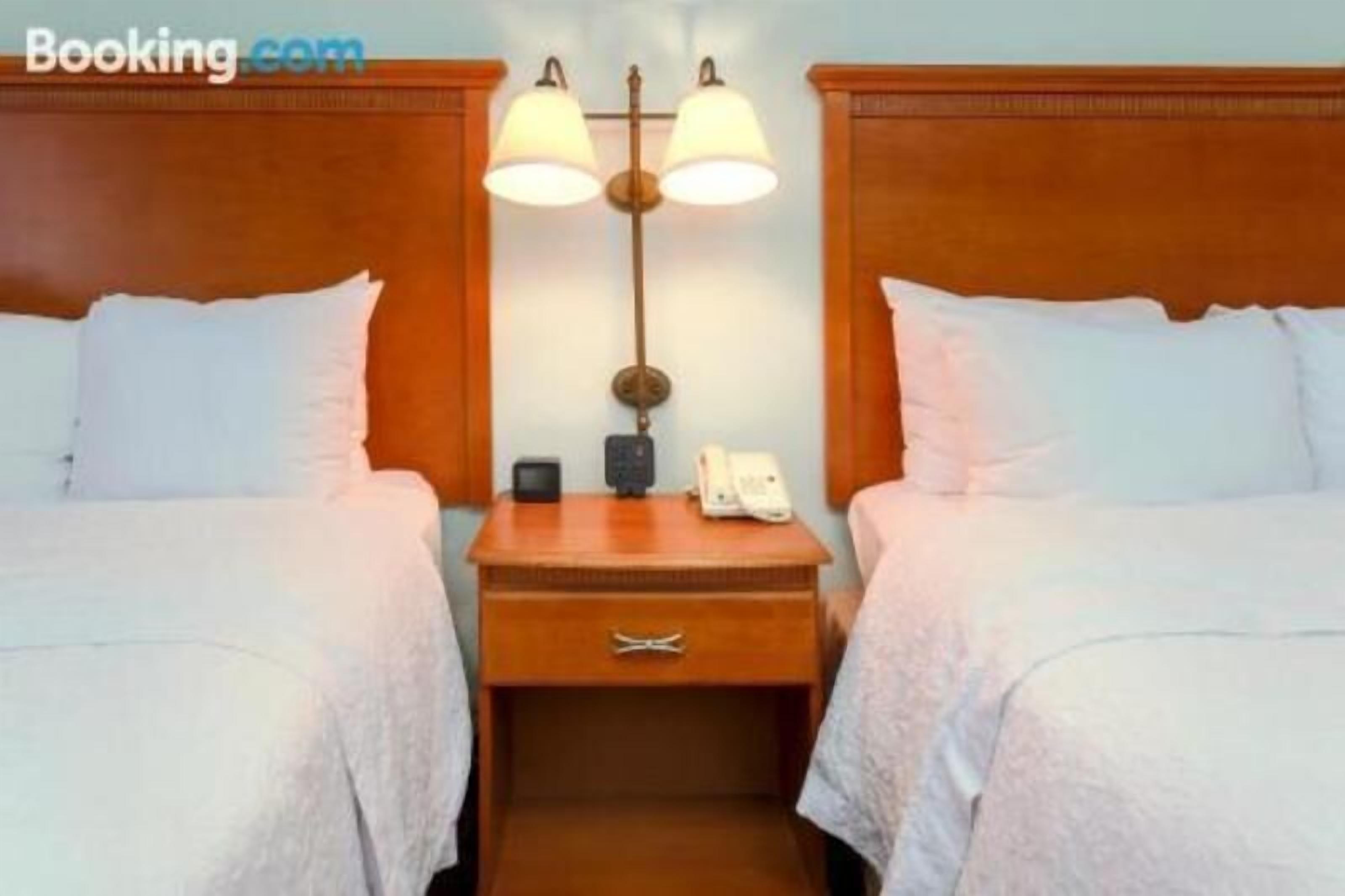 Premium bedding, in-room safe, desk, blackout curtains