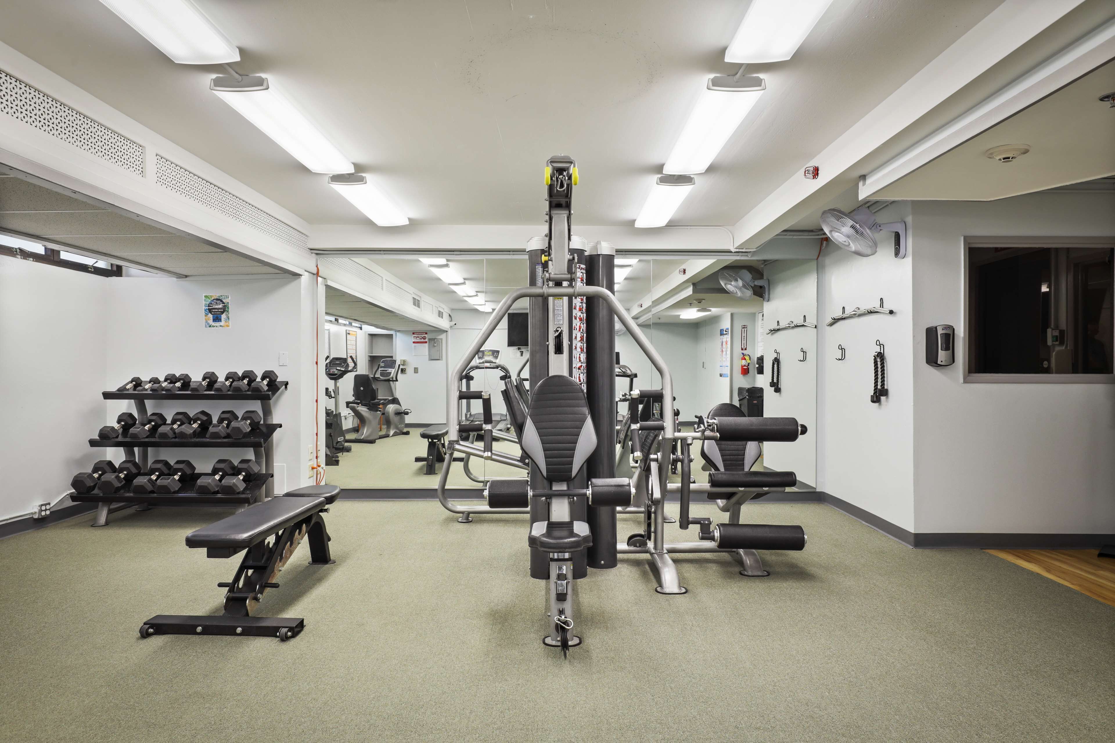 A gym with various exercise equipment, including dumbbells, benches, and weight machines.