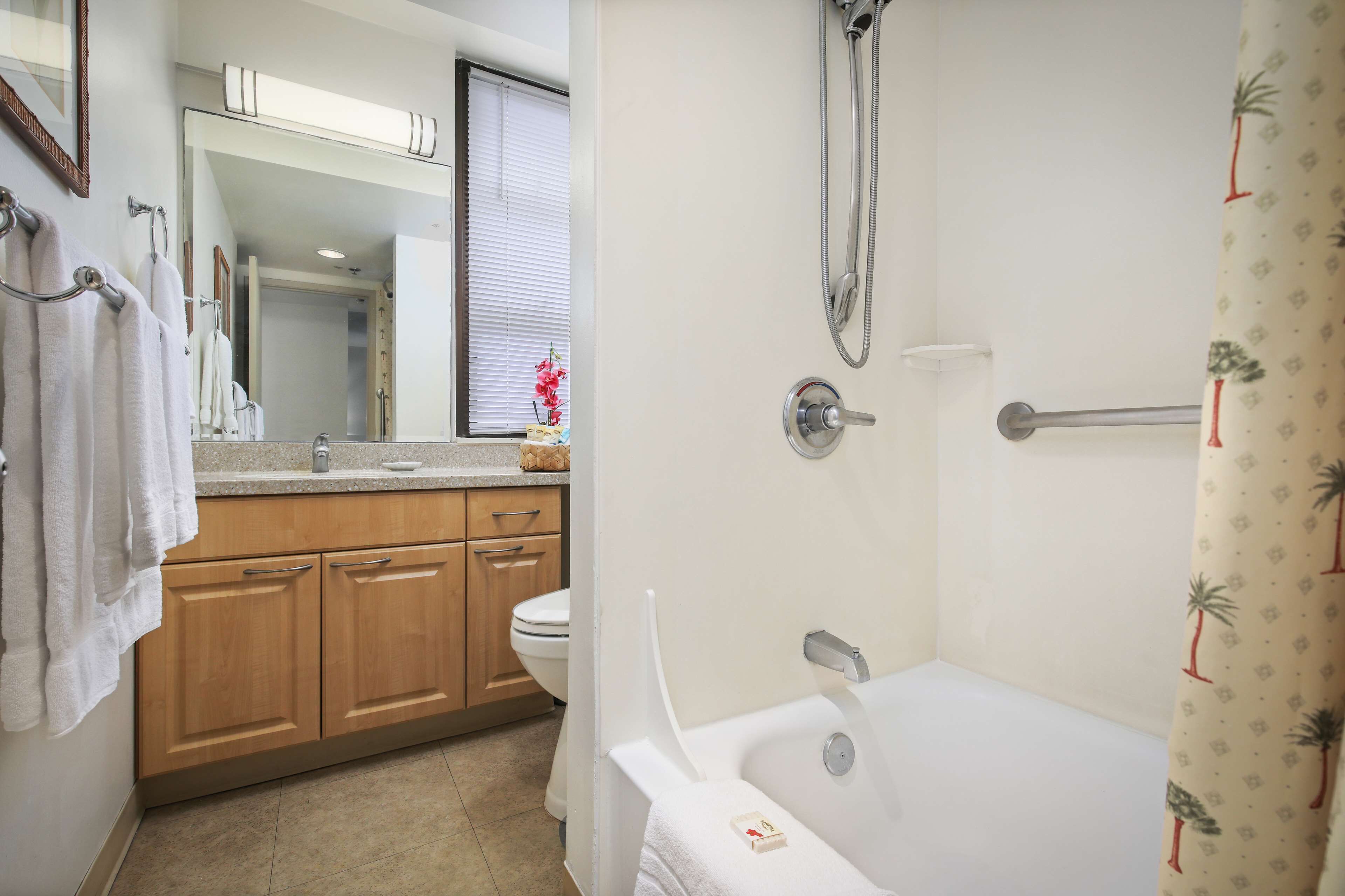 Une salle de bain avec une baignoire, des toilettes et des meubles en bois.