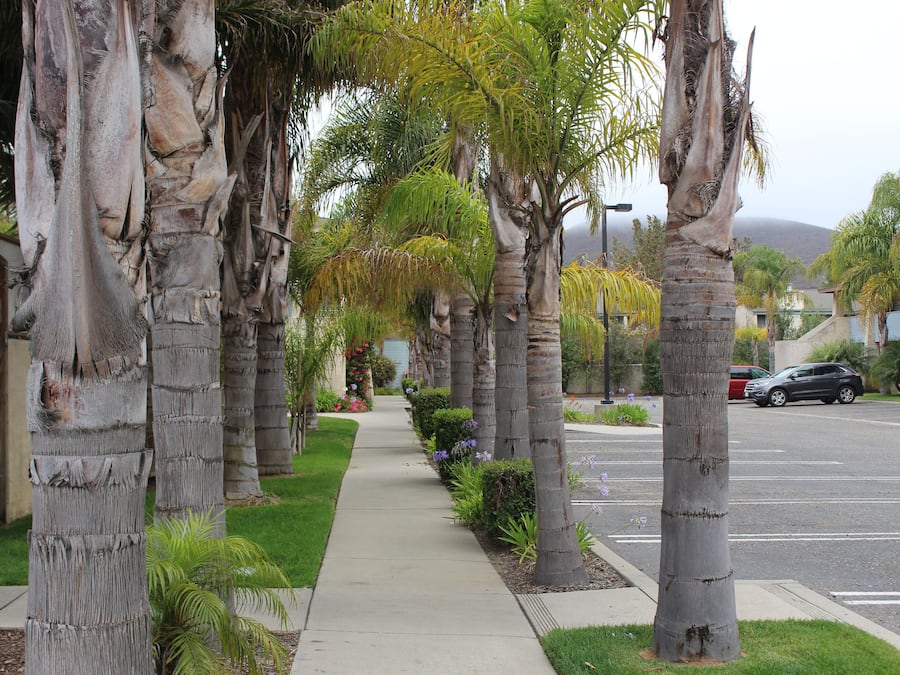 Enceinte de lâhĂ©bergement
