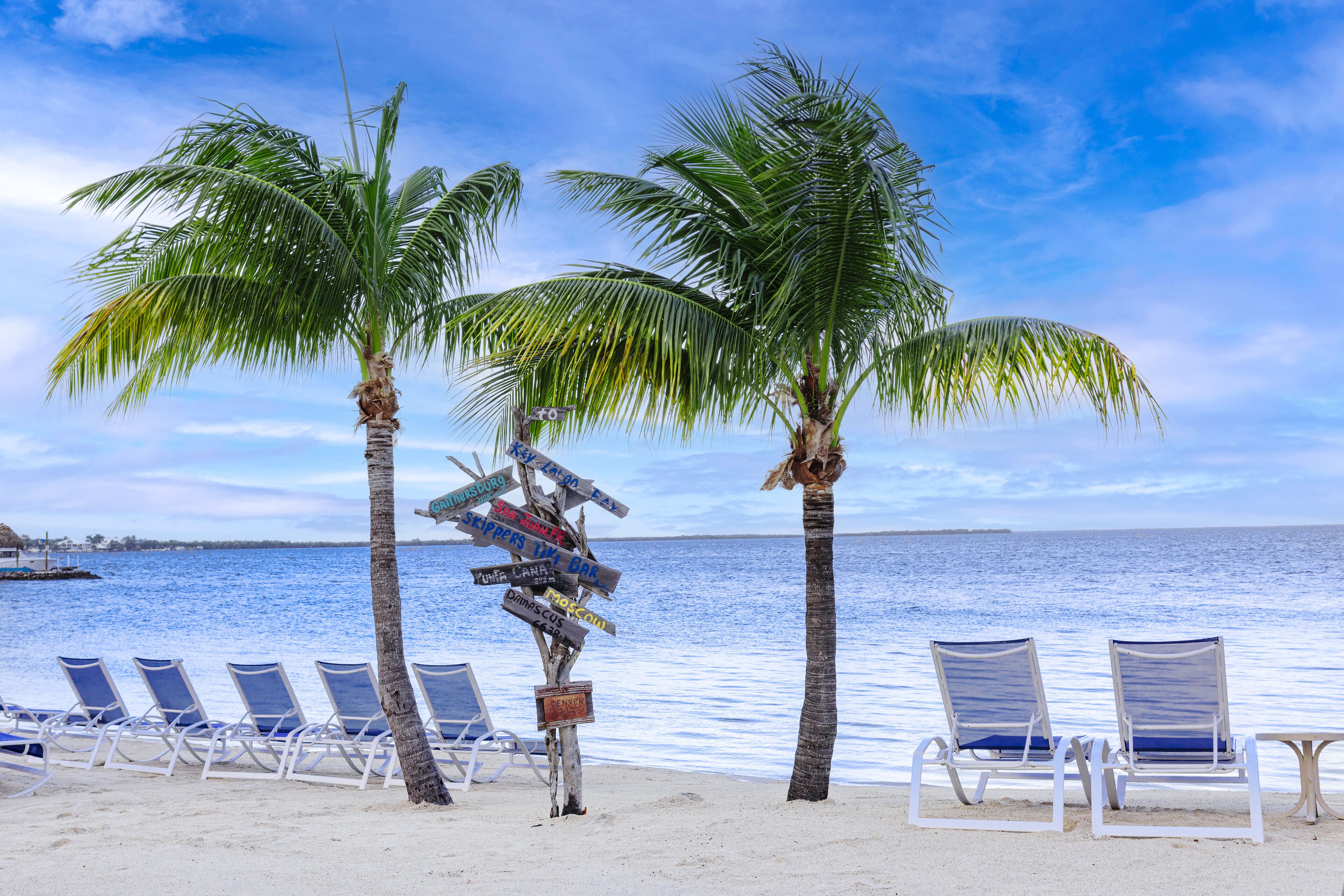 A beach with palm trees, lounge chairs, and a signpost with various destinations.