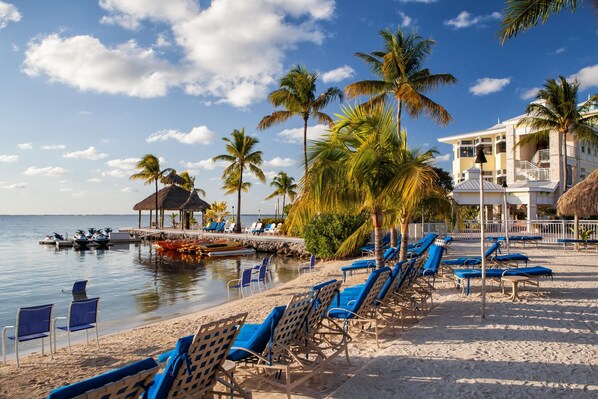 A beach with rows of blue lounge chairs, a thatched-roof structure, and palm trees.