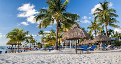 Reefhouse Resort & Marina