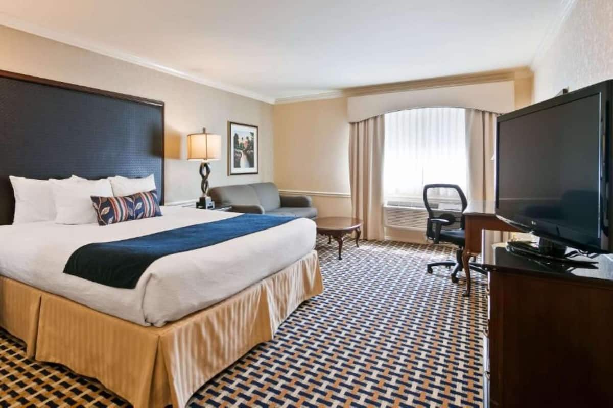 A hotel room with a large bed, a desk, a television, and a window with curtains.