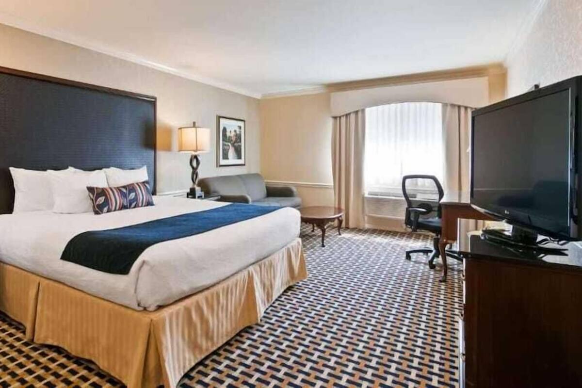 A hotel room with a large bed, a desk, a television, and a patterned carpet.