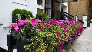 A row of vibrant flowers in planters along a building's exterior. - Kensington Court Hotel (London)