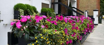 Kensington Court Hotel