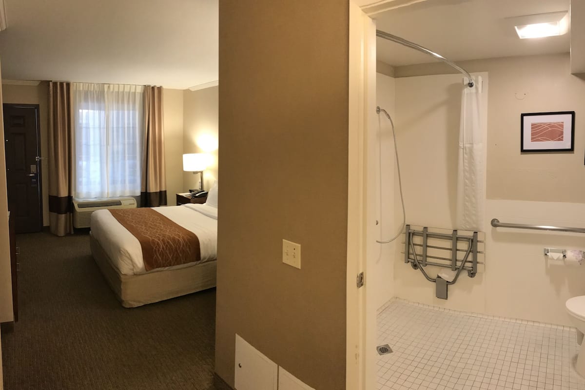 standard room, 1 queen bed, accessible, roll-in shower, courtyard view | living area | 32-inch flat-screen tv with cable channels, tv