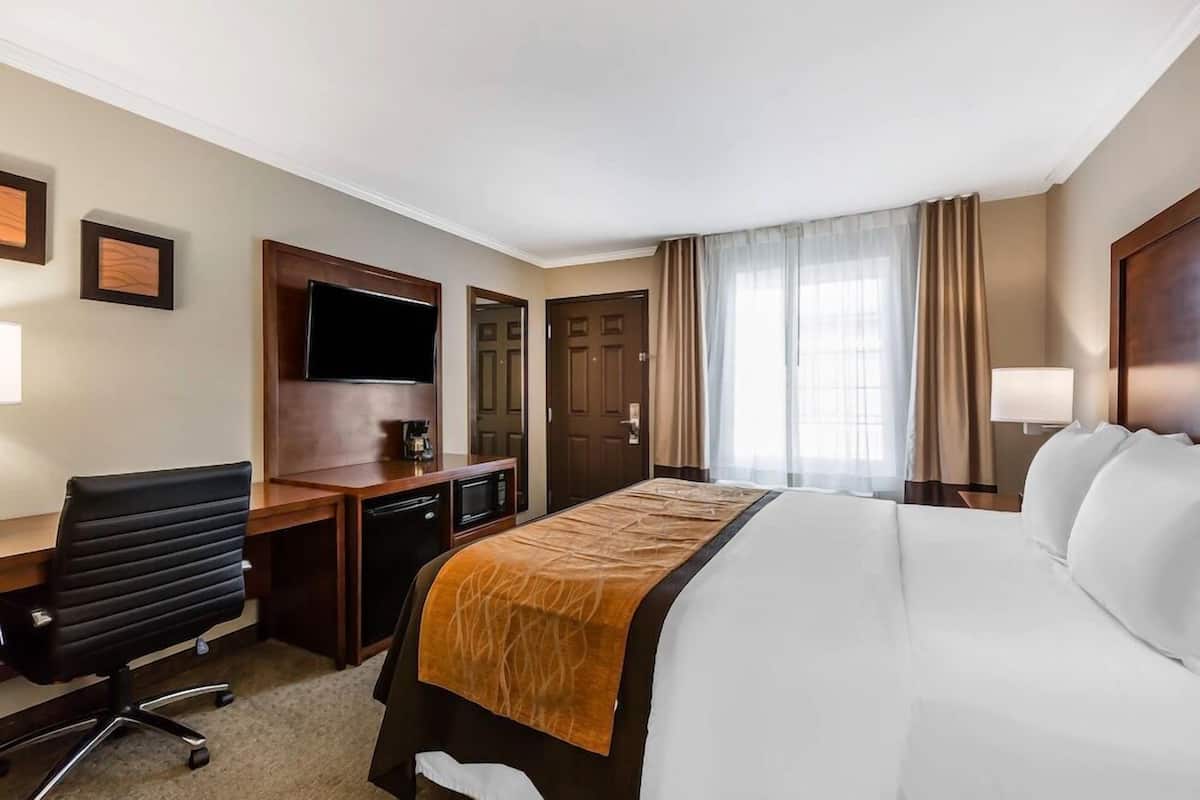 A hotel room with a bed, desk, television, and a view of the outdoors.