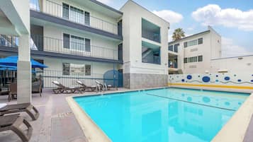 Outdoor pool, sun loungers