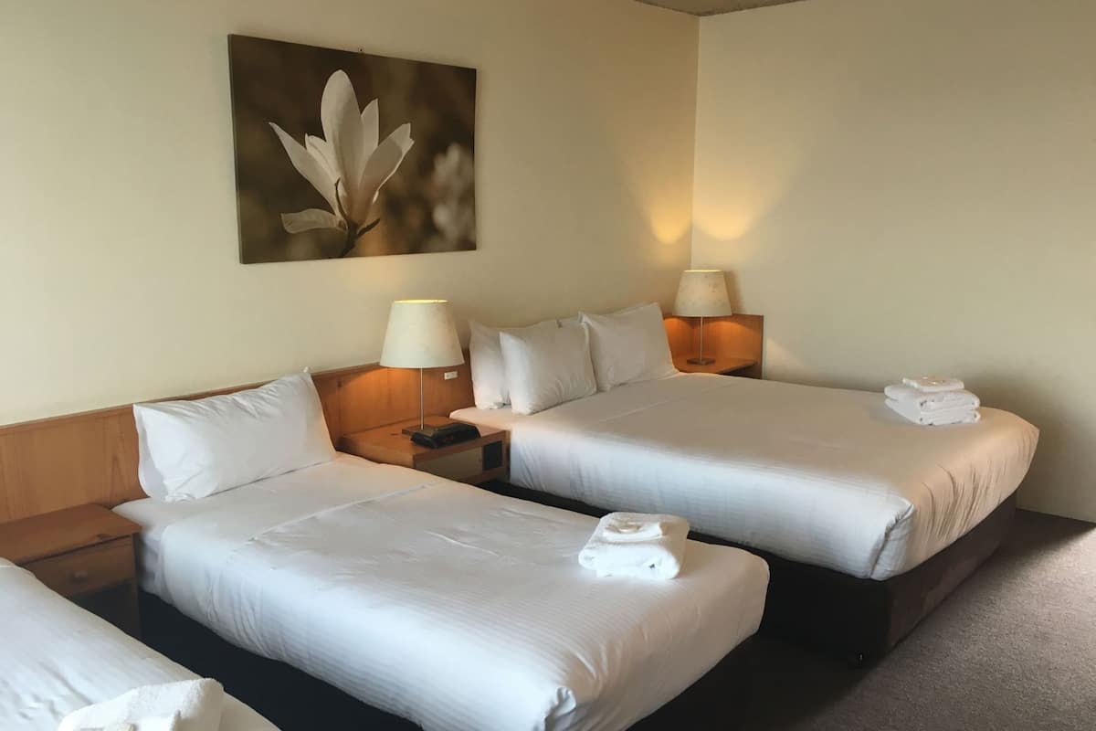 Mörkläggningsgardiner, strykjärn/strykbräda, gratis wi-fi och sängkläder