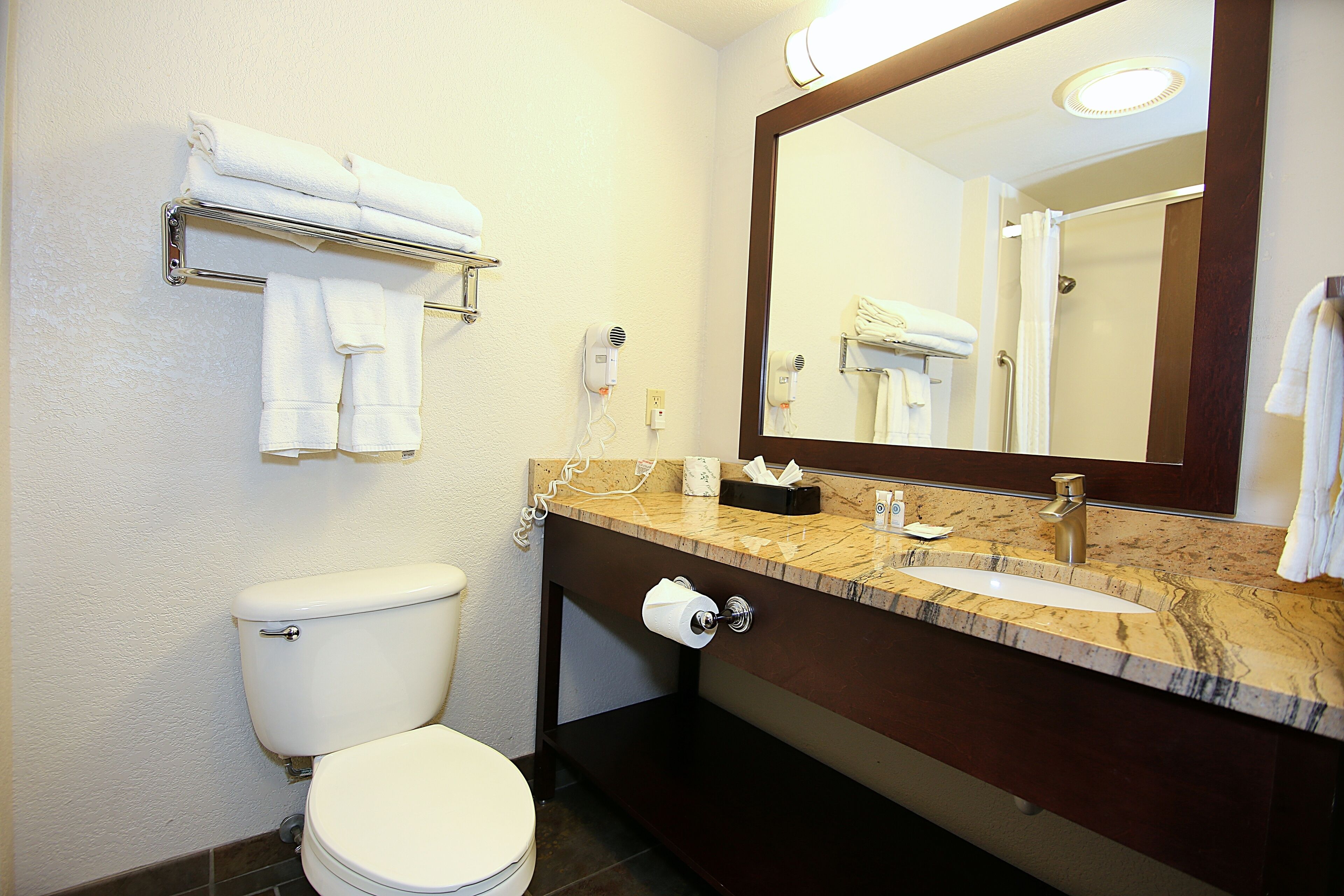suite, 1 king bed with sofa bed, non smoking | bathroom | eco-friendly toiletries, hair dryer, towels, soap