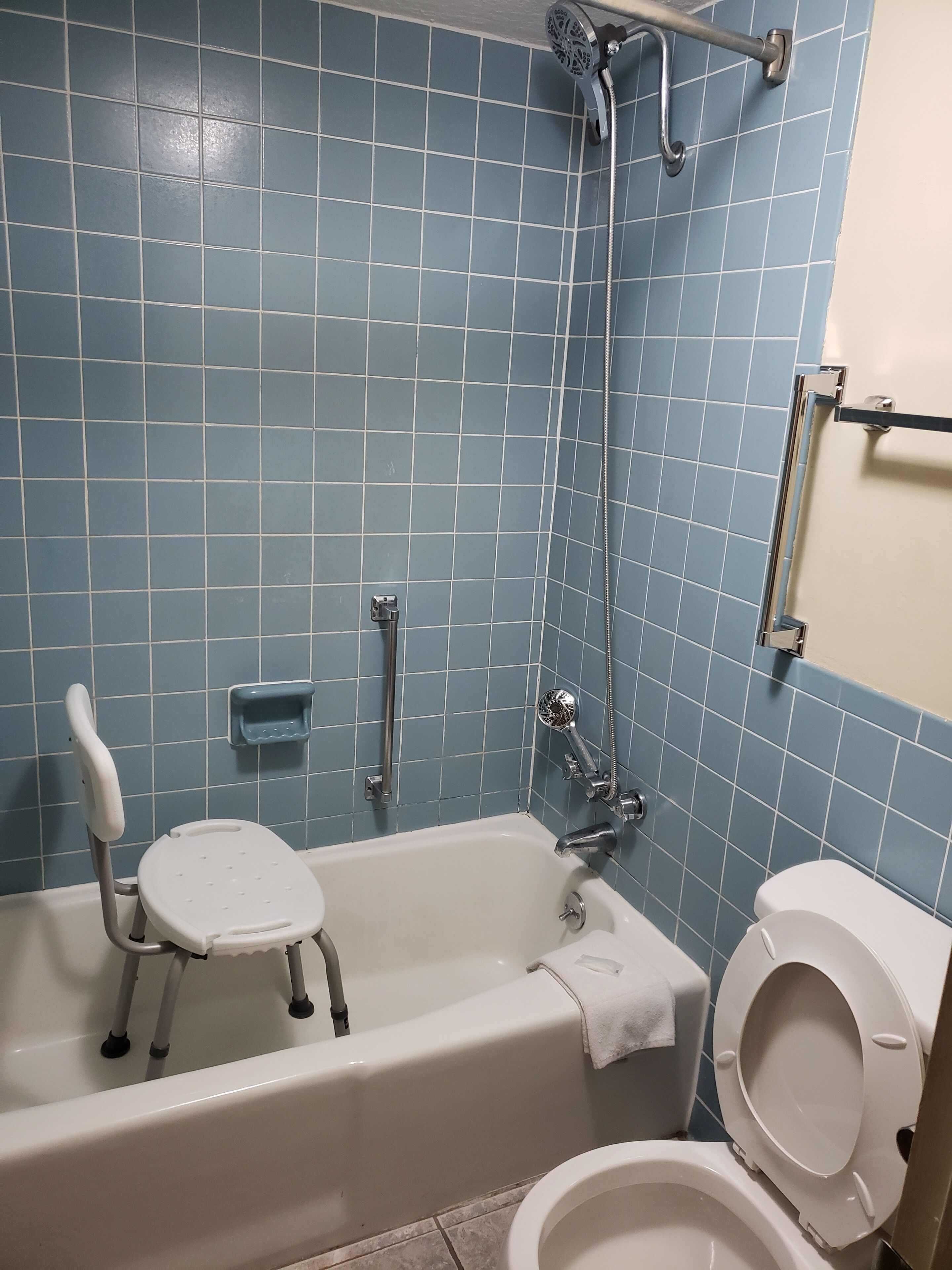 Ein Badezimmer mit einer Badewanne, einer Toilette und einer Dusche.