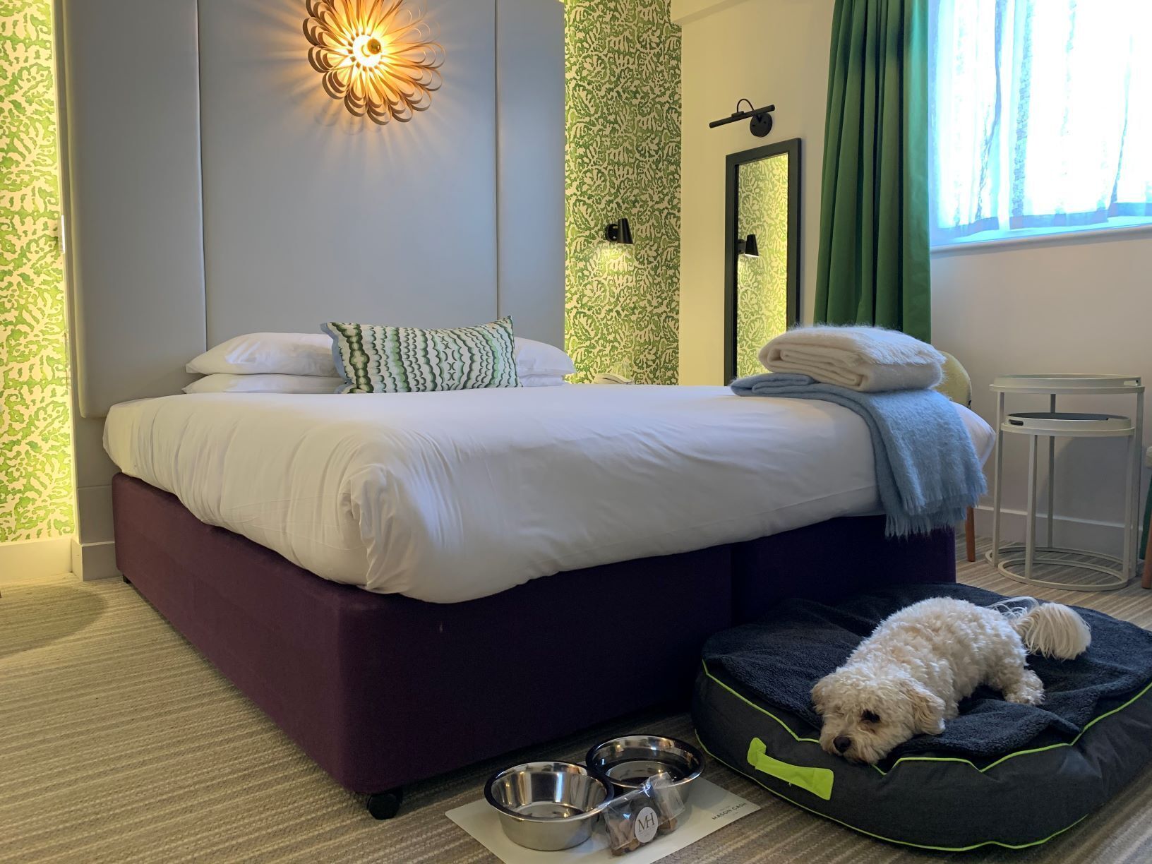 A modern bedroom with a large bed, a pet bed, a wall-mounted light, and a mirror.