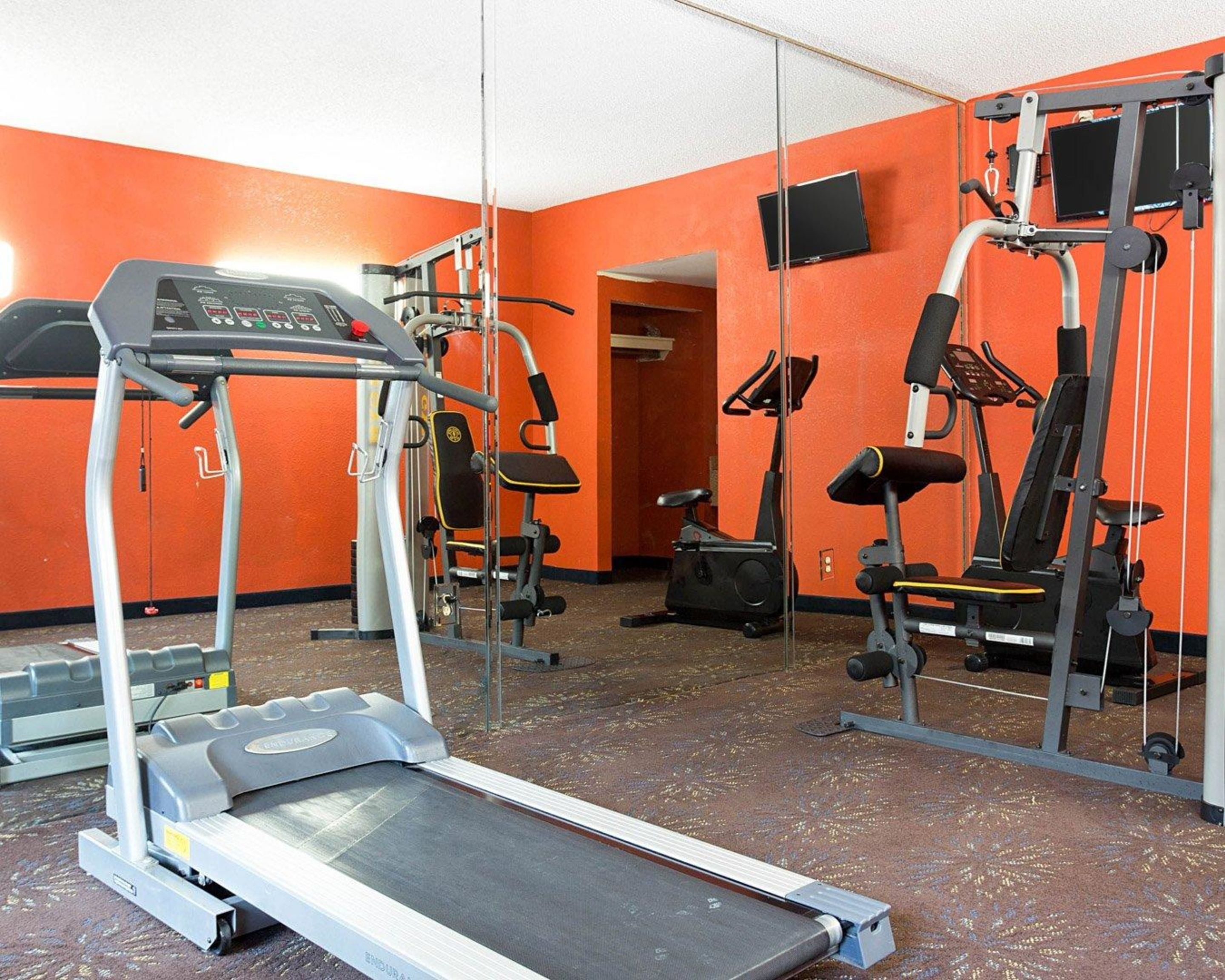 A gym with a treadmill, weight machines, and a mirrored wall.