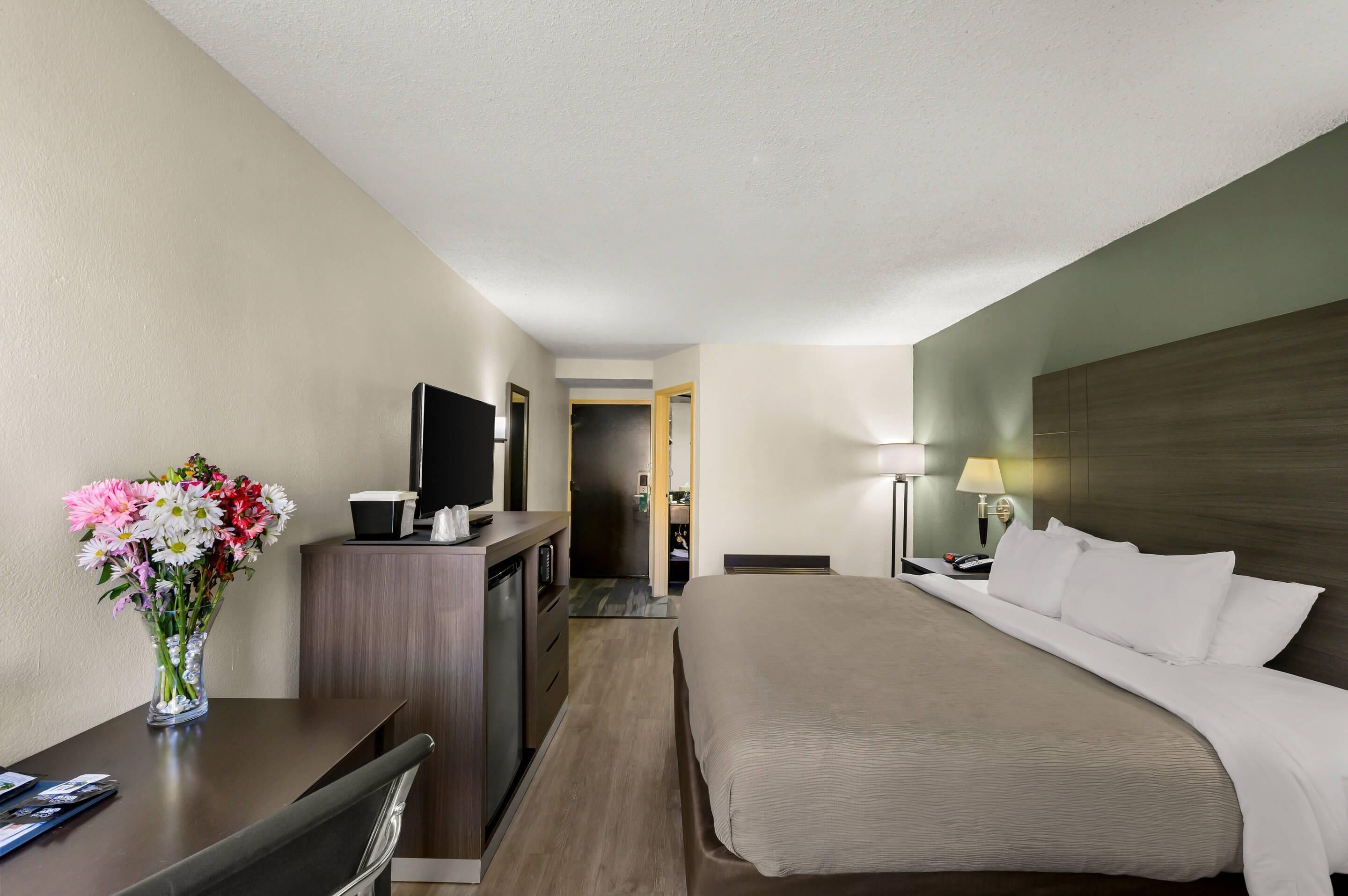 Standard Room, 1 King Bed, Non Smoking