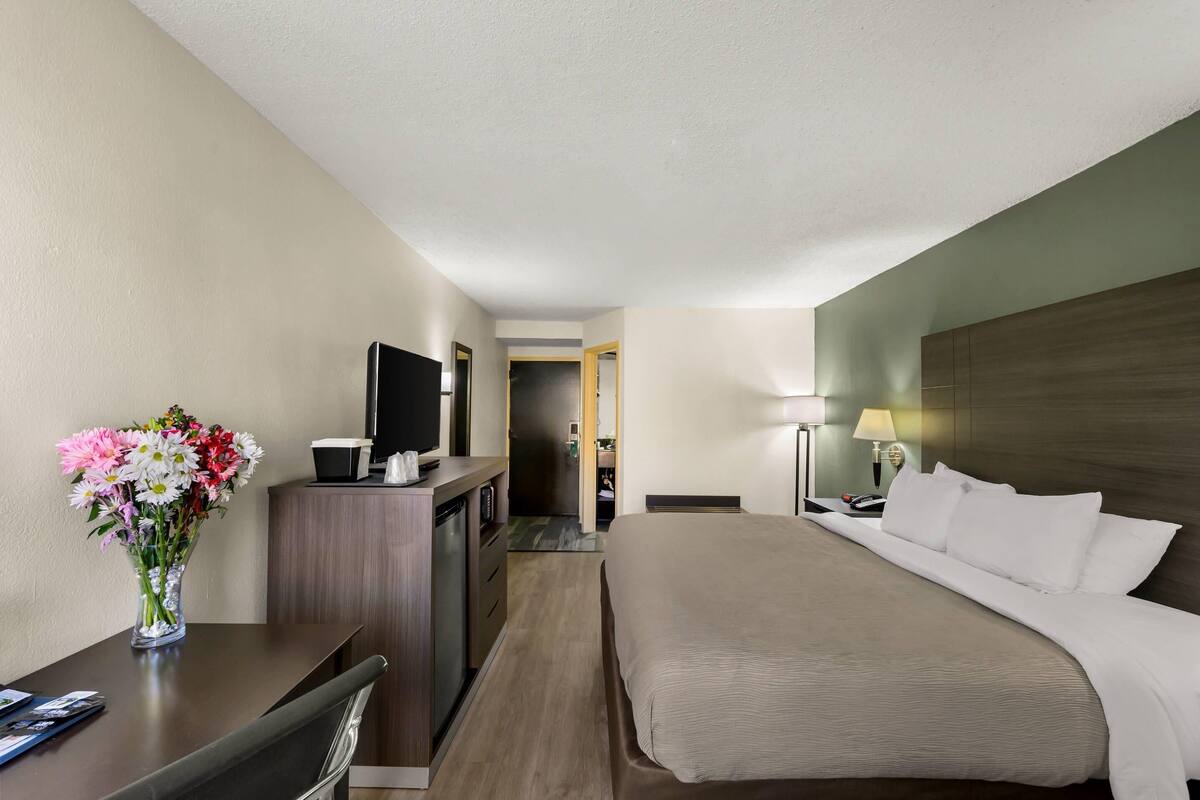 Standard Room, 1 King Bed, Non Smoking | Premium bedding, desk, iron/ironing board, WiFi (free)