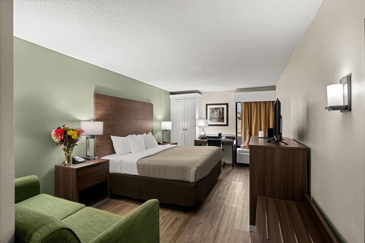 Premium bedding, desk, iron/ironing board, WiFi (free)