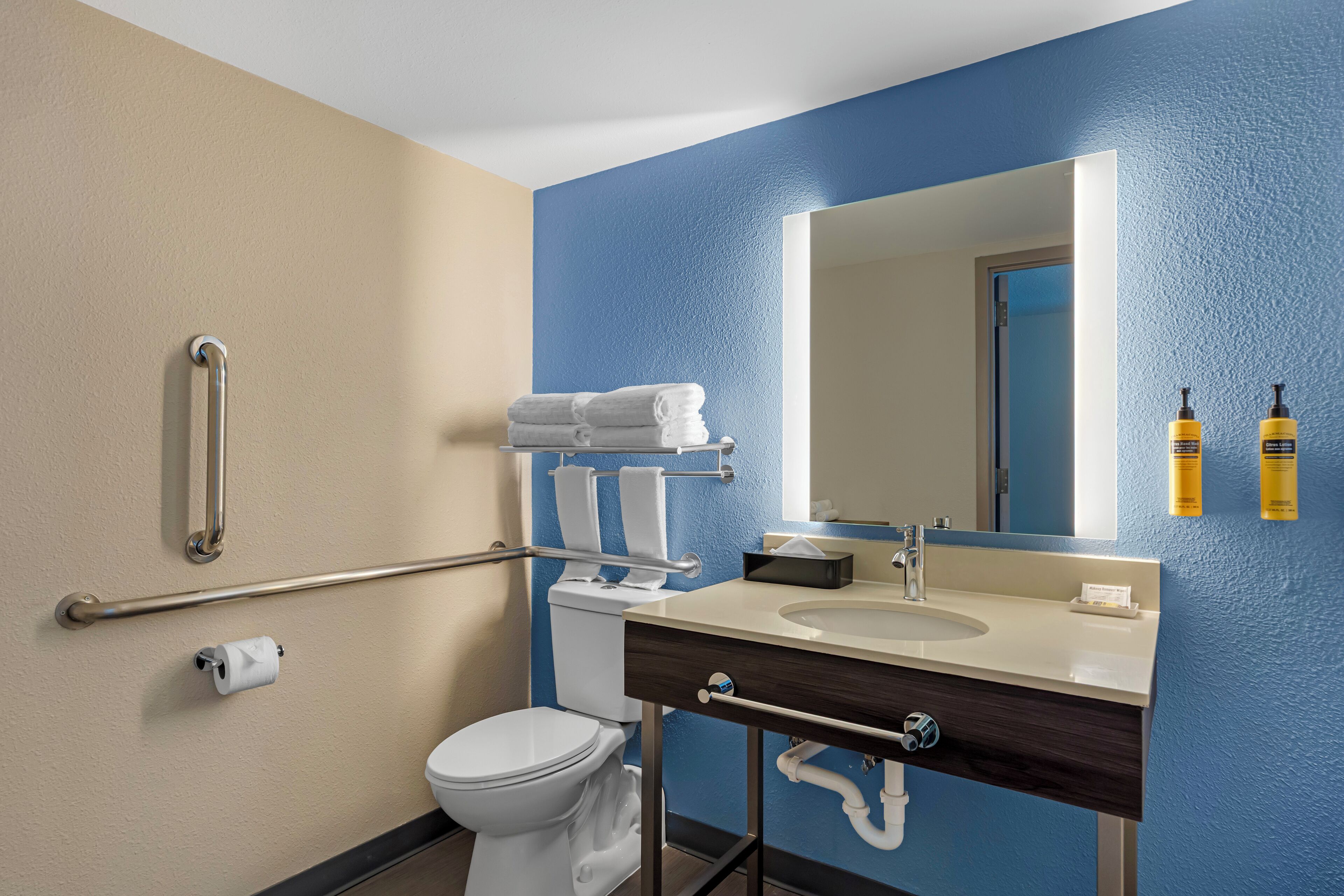 A bathroom with a toilet, sink, mirror, and handrails.