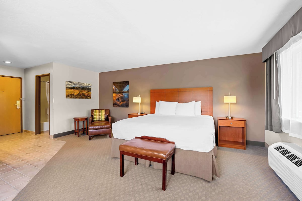 Standard Room, 1 King Bed, Non Smoking, Jetted Tub | Hypo-allergenic bedding, pillow-top beds, in-room safe, desk