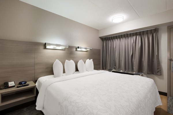 Desk, blackout drapes, iron/ironing board, free WiFi