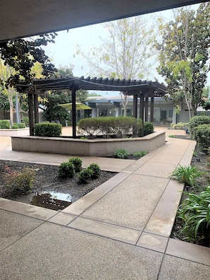 A covered outdoor area with a pergola, a small water feature, and neatly arranged shrubs.