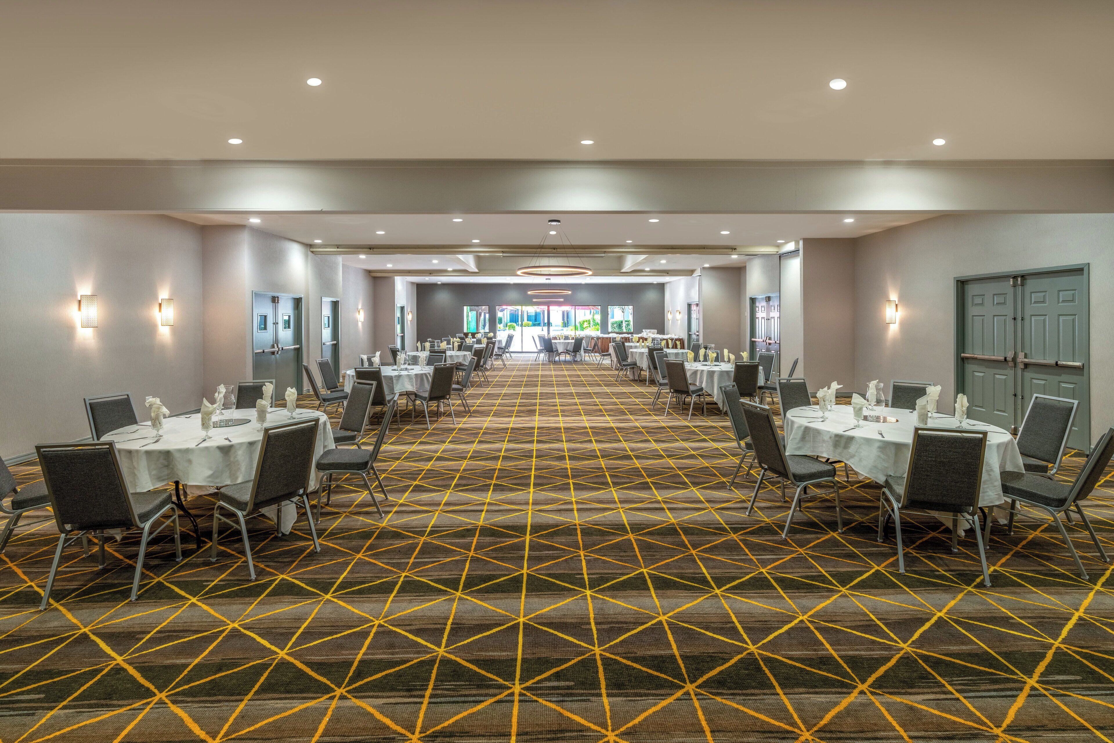 A conference room with multiple tables and chairs, arranged in rows, with a patterned carpet and recessed lighting.