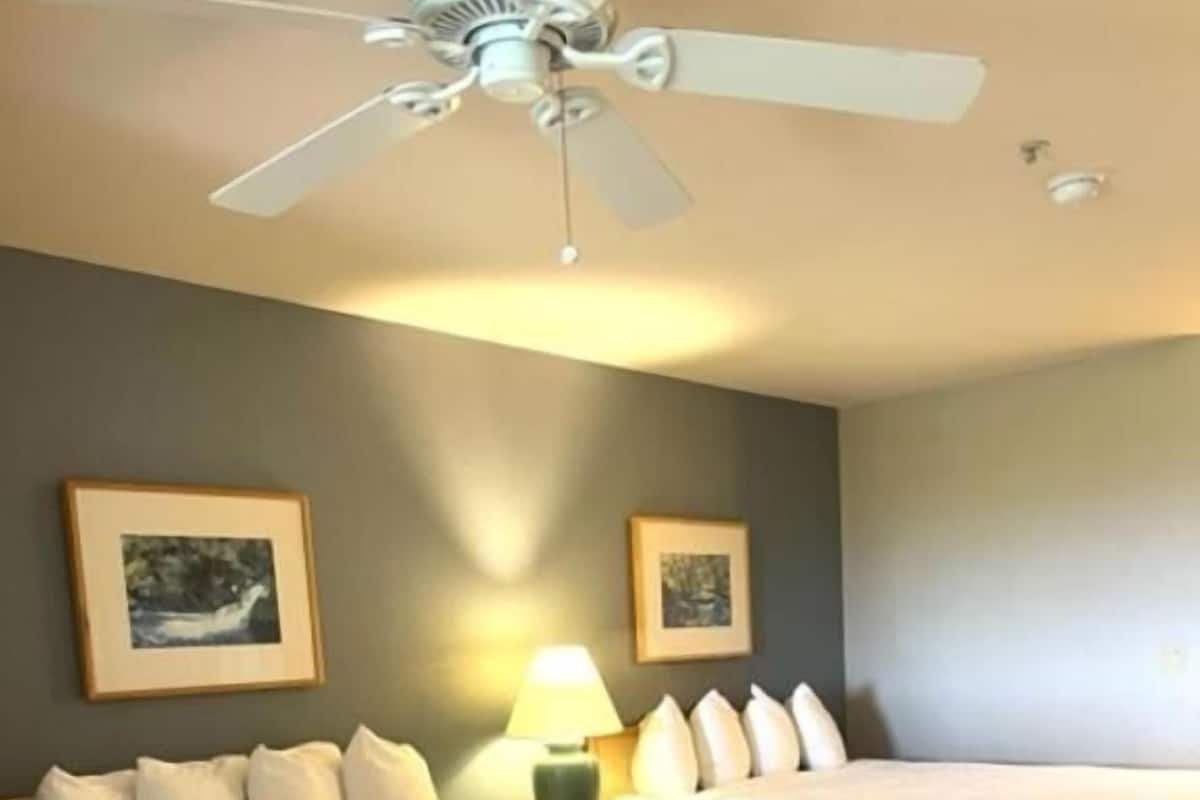 A hotel room with two beds, a ceiling fan, and two framed pictures on the wall.