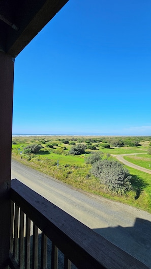 Room, 1 King Bed, Fireplace | Balcony view