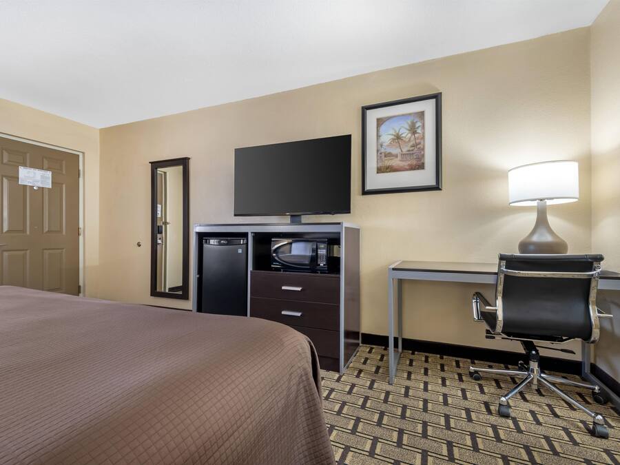 A hotel room with a bed, a desk, a chair, a television, a microwave, and a lamp.