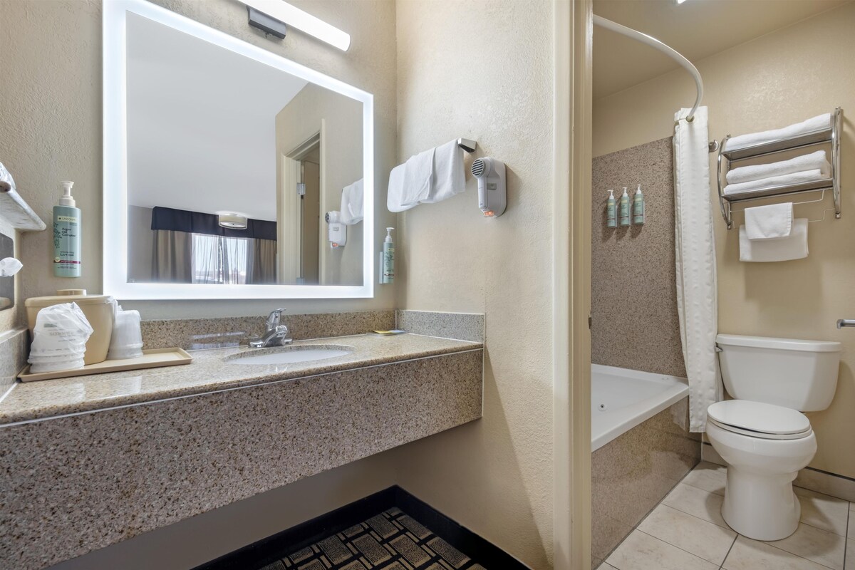 Standard Room, 1 King Bed, Non Smoking, Jetted Tub | Bathroom | Eco-friendly toiletries, hair dryer, towels, soap