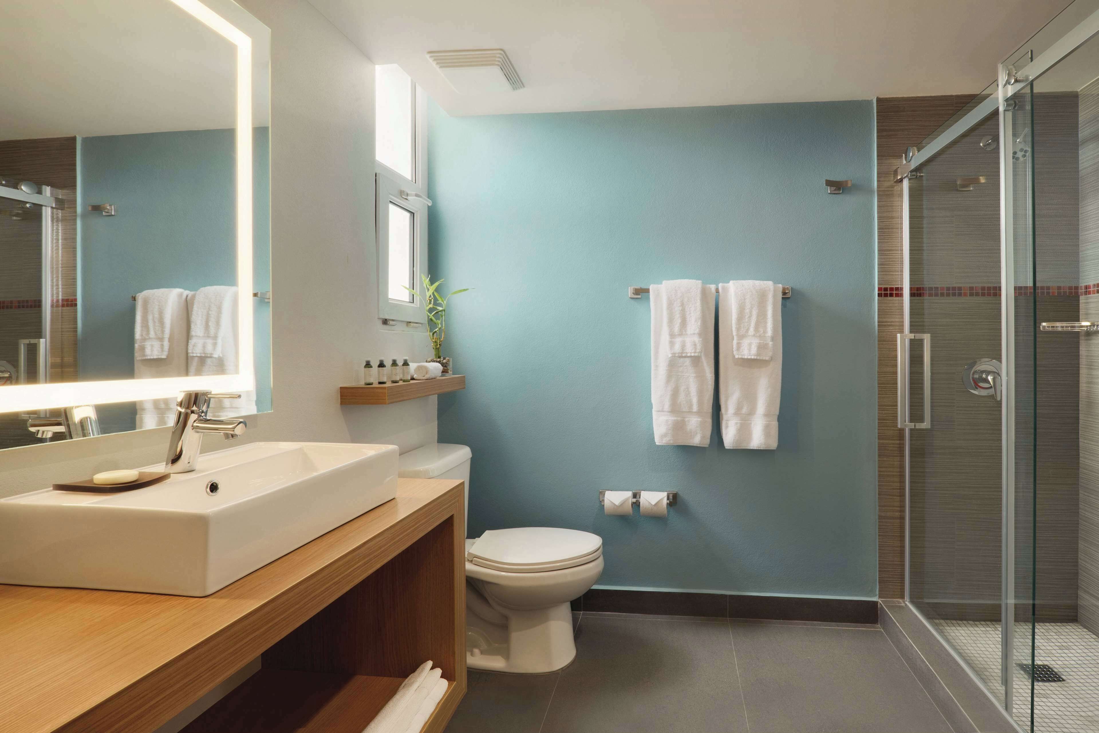 eco-friendly toiletries, hair dryer, towels, soap