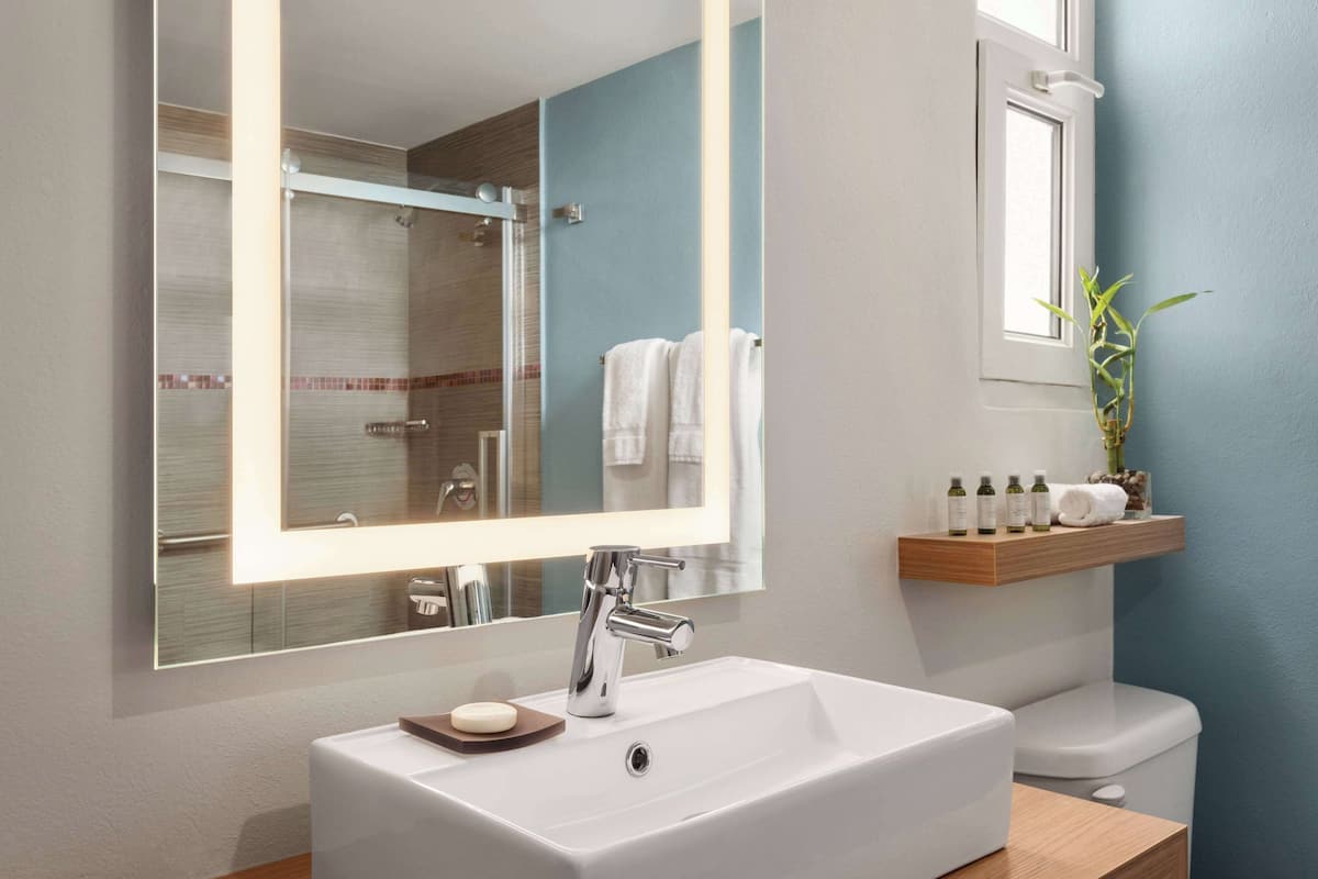 eco-friendly toiletries, hair dryer, towels, soap