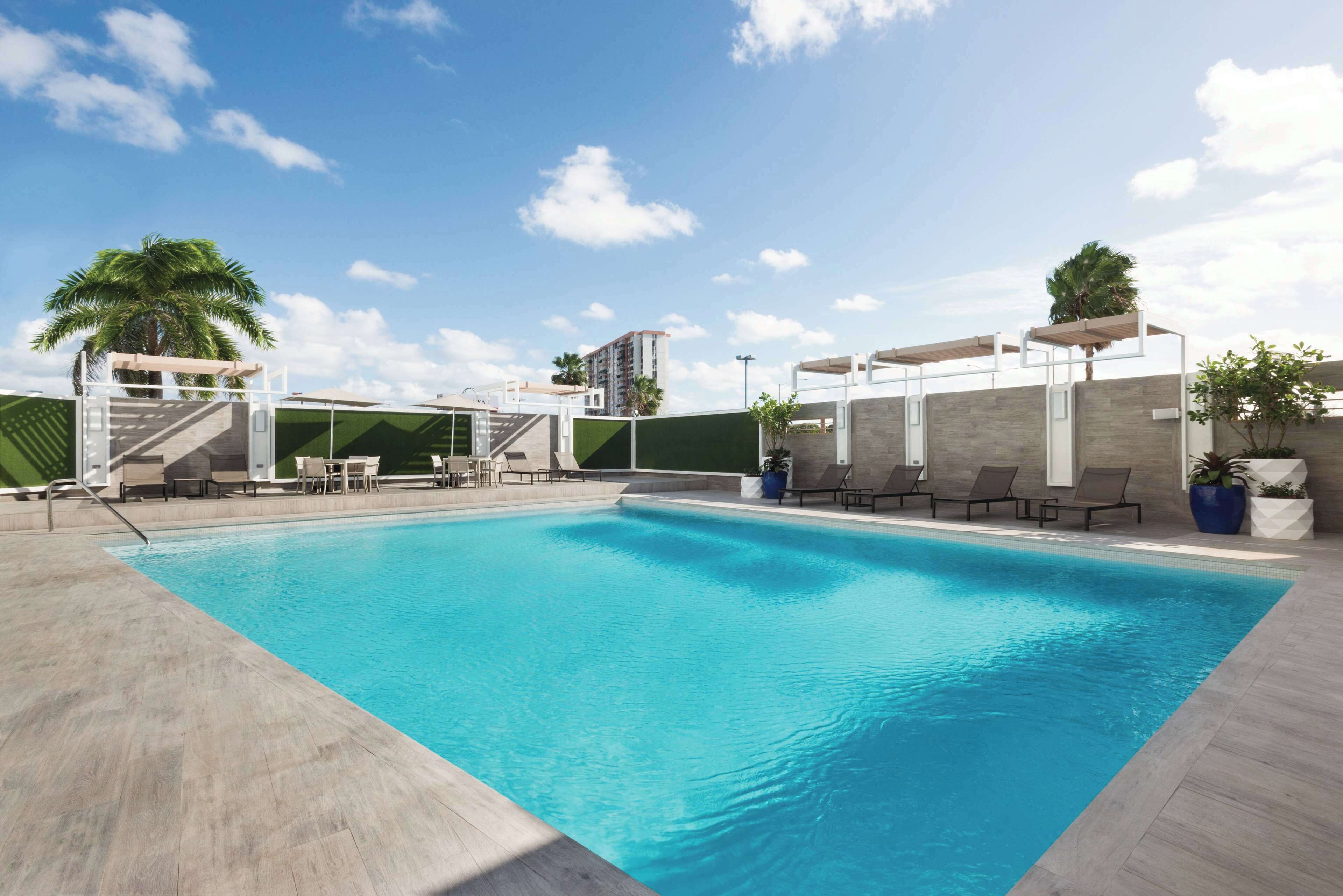 A swimming pool with lounge chairs and a palm tree.