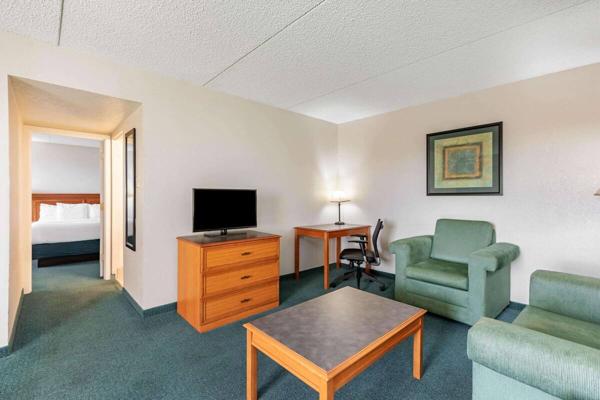 Una habitación de hotel con cama, televisor, escritorio, silla y sofá.