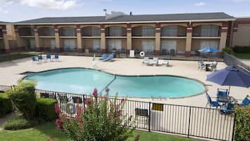 Seasonal outdoor pool, pool loungers