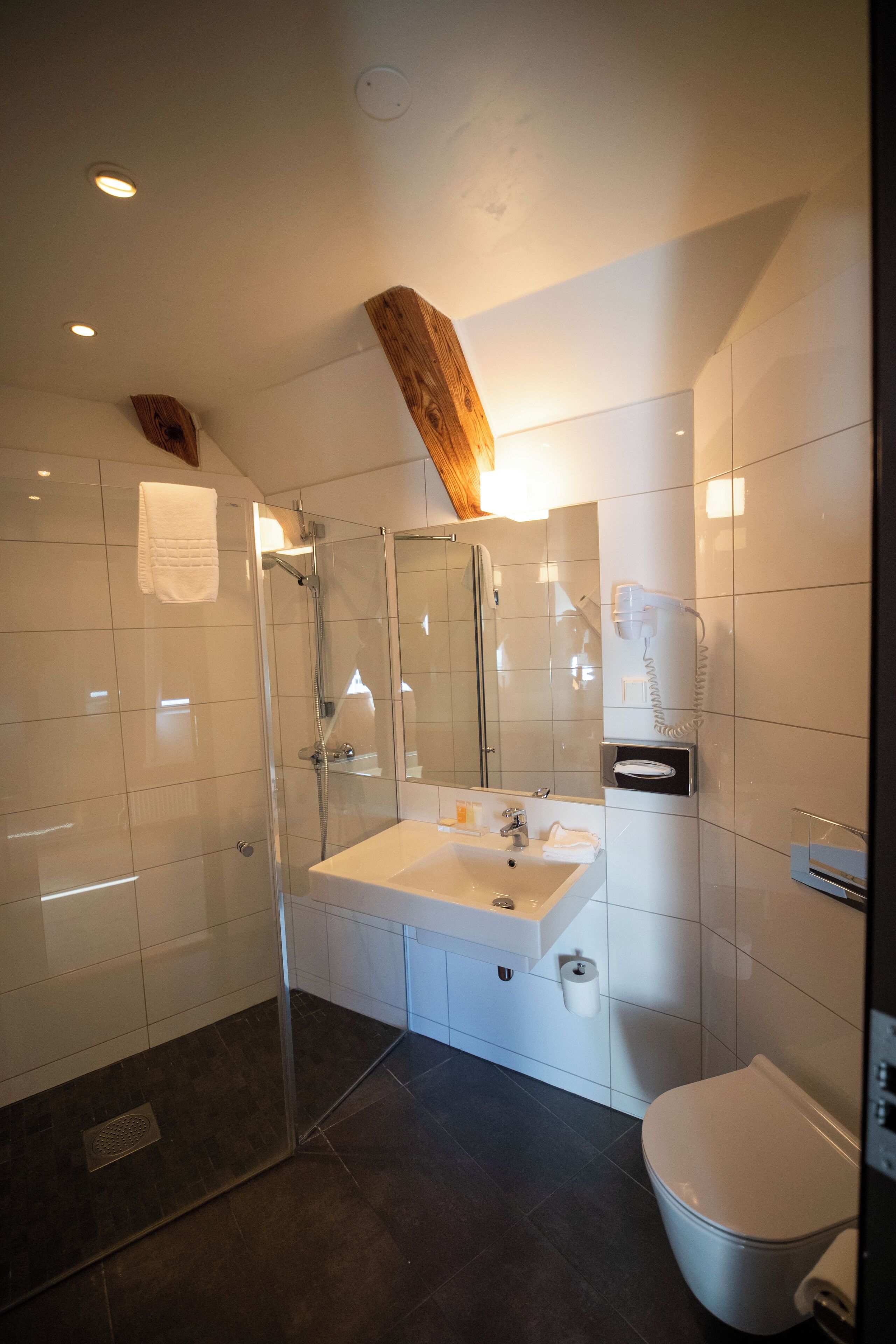 A modern bathroom with a glass shower enclosure, a white sink, and a toilet.