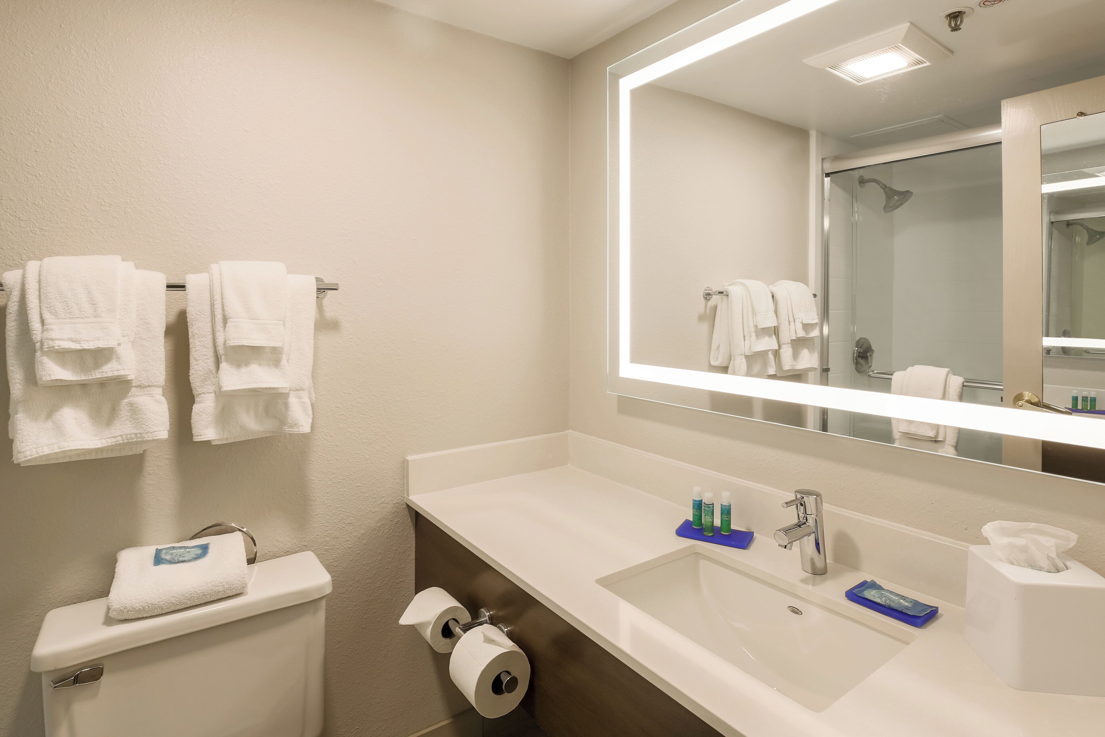 A hotel bathroom with a sink, mirror, and toilet.