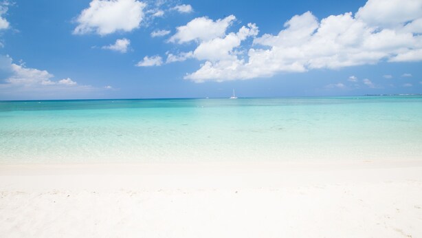 Une plage à l’eau turquoise et cristalline, bordée d’un rivage de sable blanc.