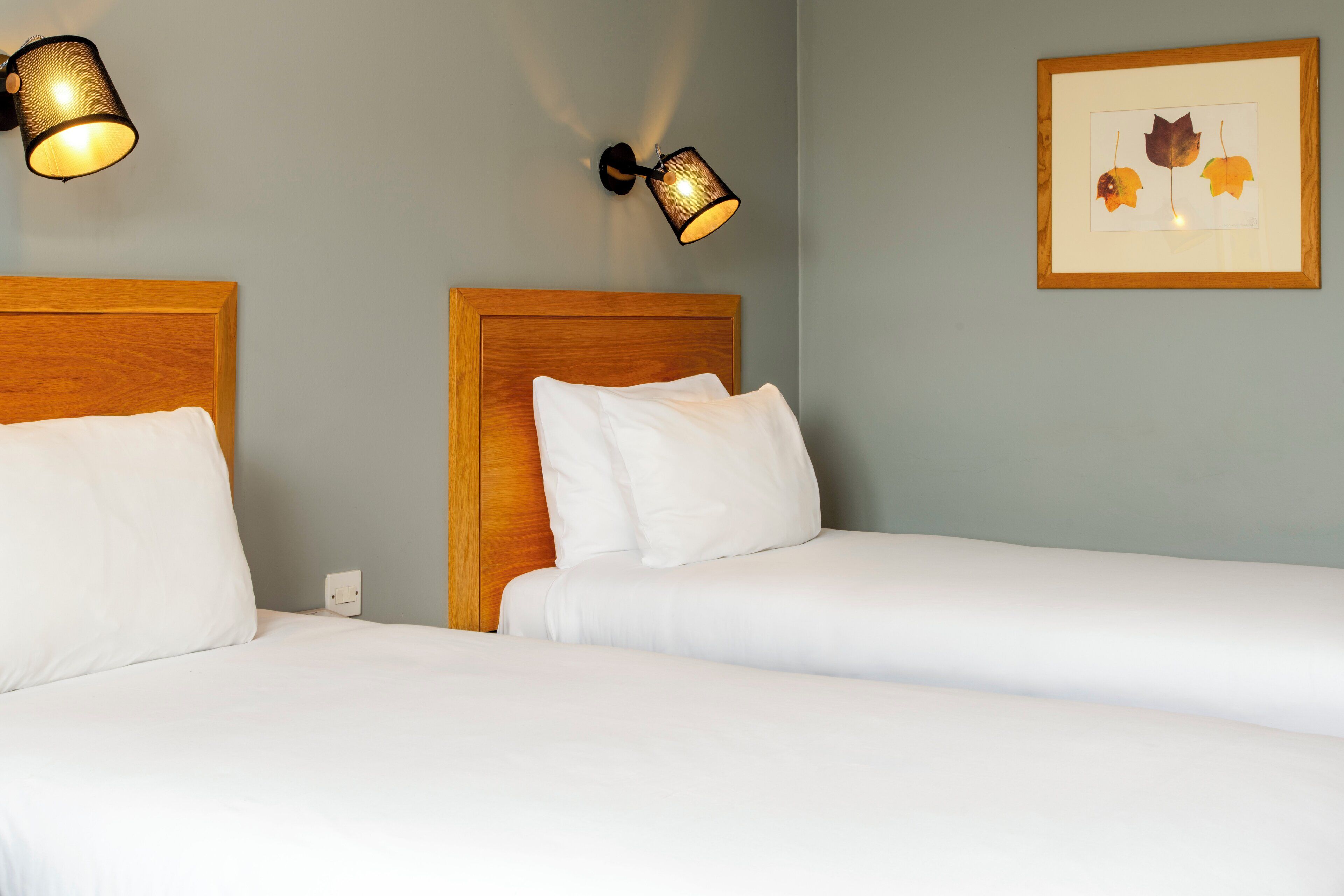 标准房, 多张床 | 客房内保险箱、办公桌、熨斗/熨板、免费婴儿床