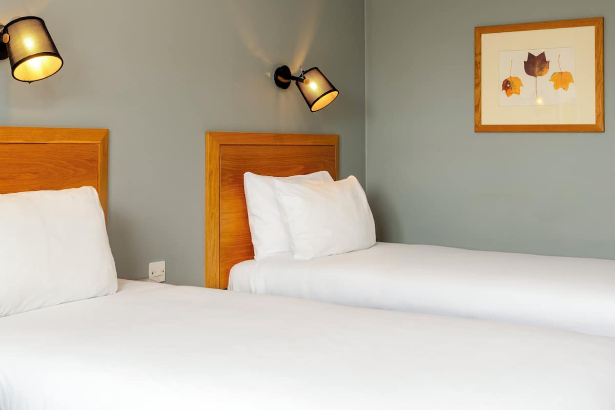 Habitación estándar, varias camas | Caja de seguridad en la habitación y escritorio