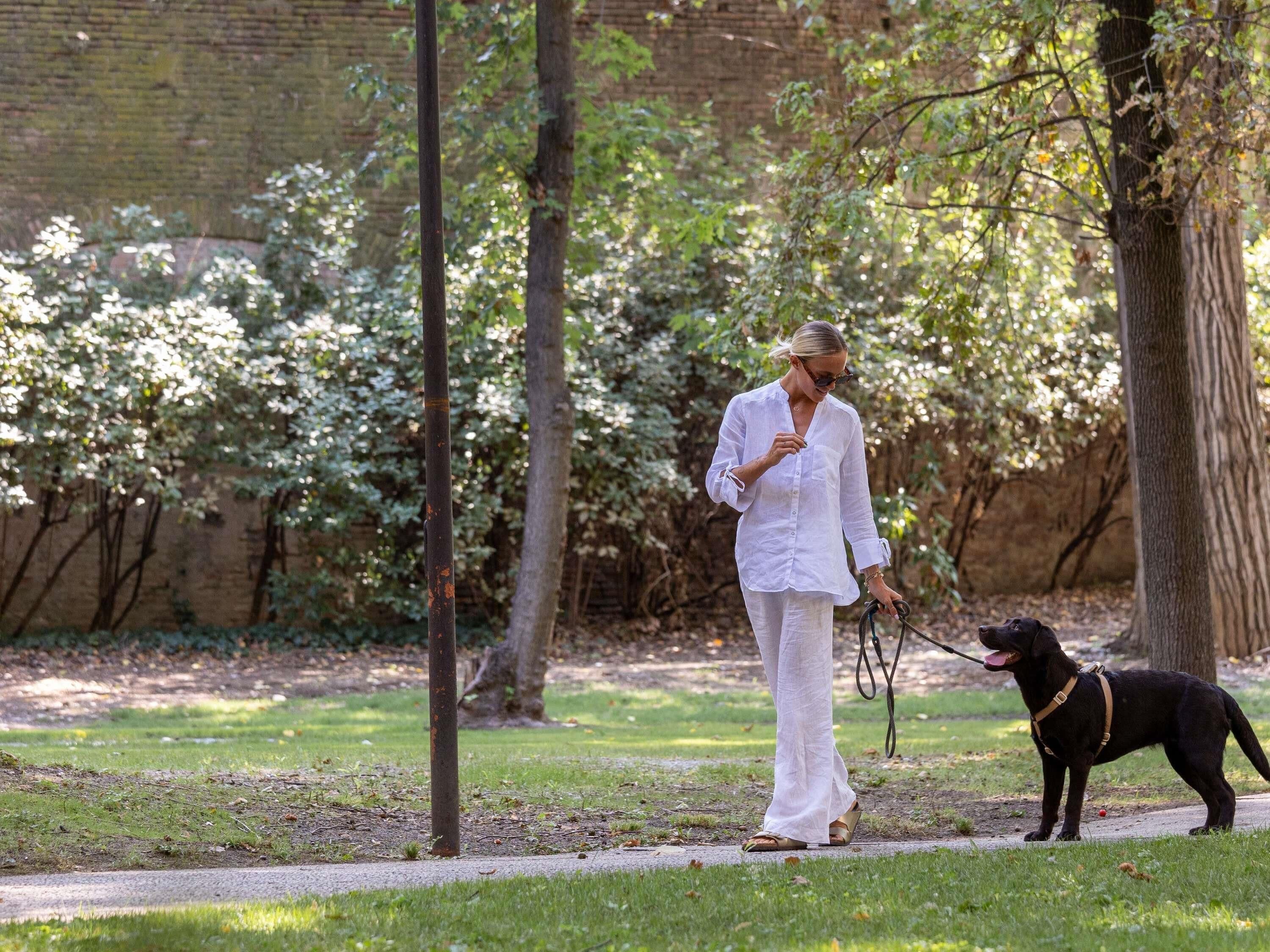 A person walking a dog on a path in a park with trees and a brick wall in the background.