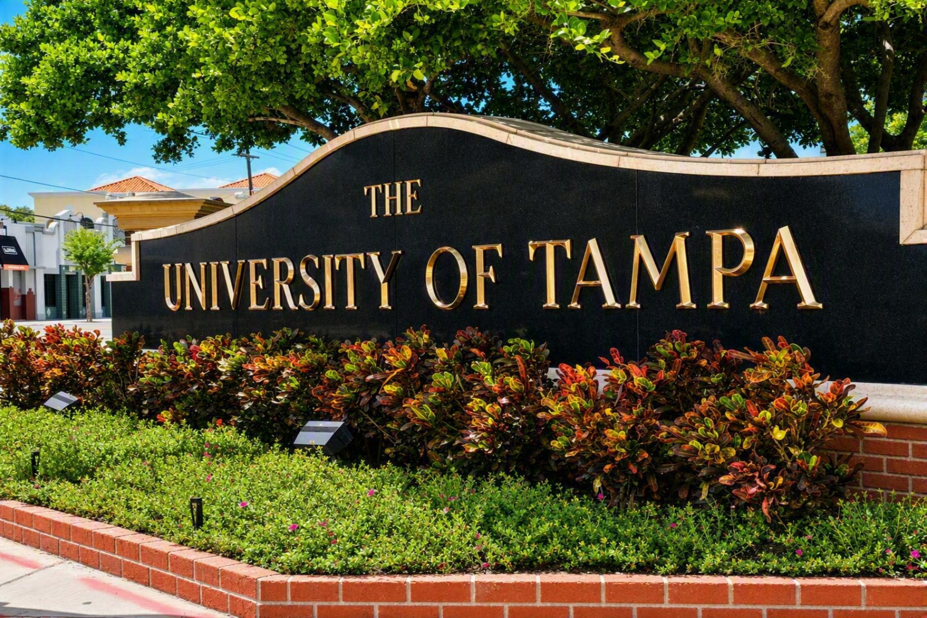 A sign for The University of Tampa with a landscaped garden in front.