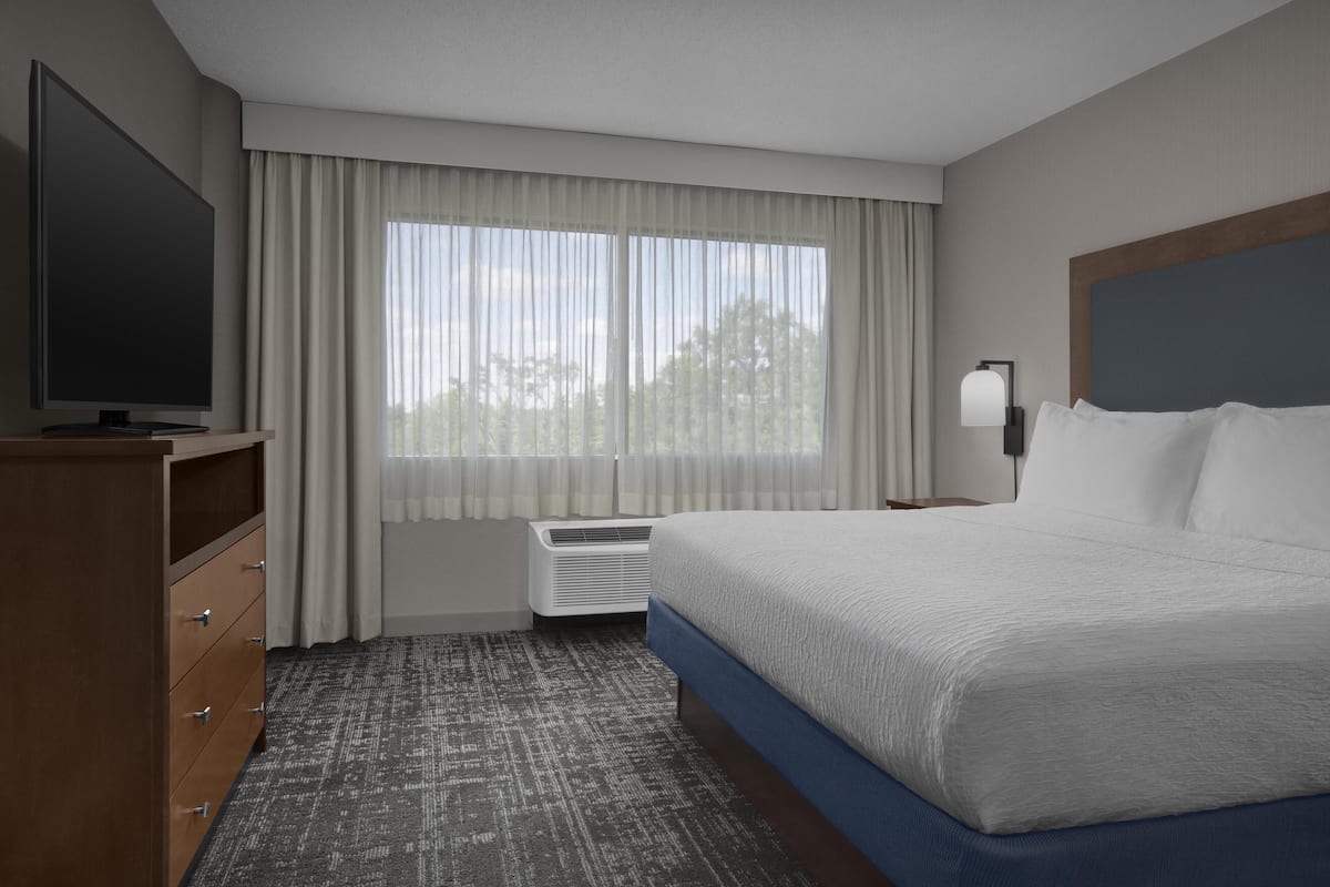 Suite, 1 King Bed, Non Smoking | Desk, iron/ironing board, cribs (free), WiFi (free)