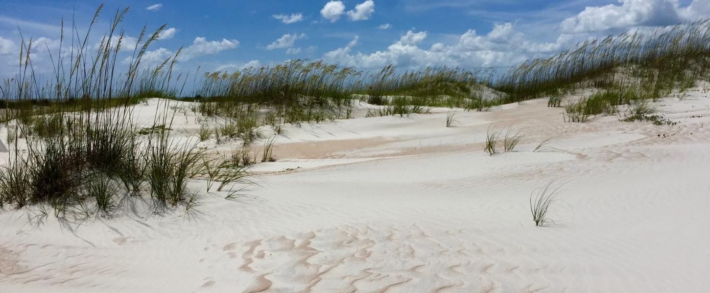A sandy beach with dunes and sparse vegetation.